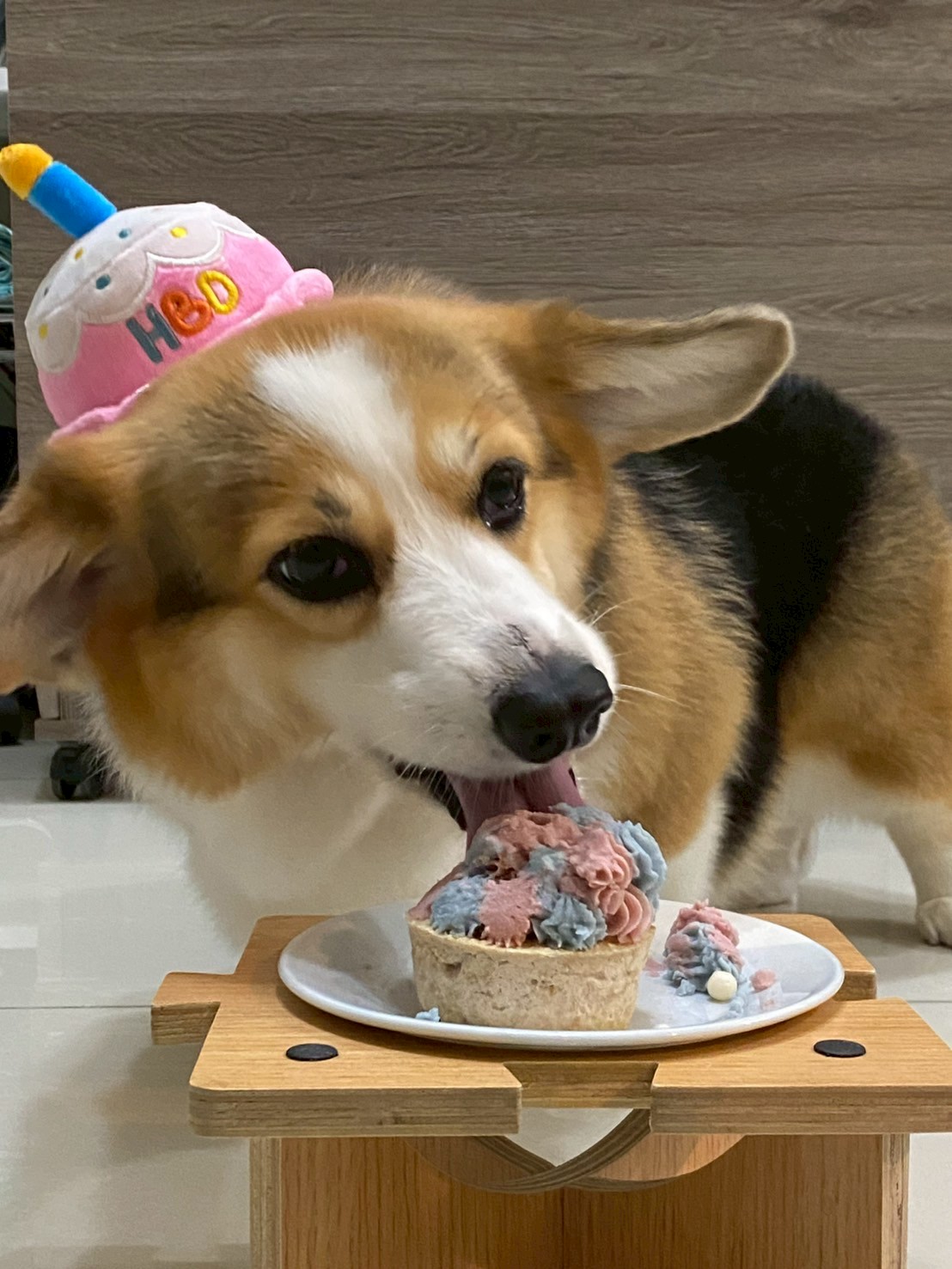 Executive chef caught taste-testing the birthday menu. Zero regrets.