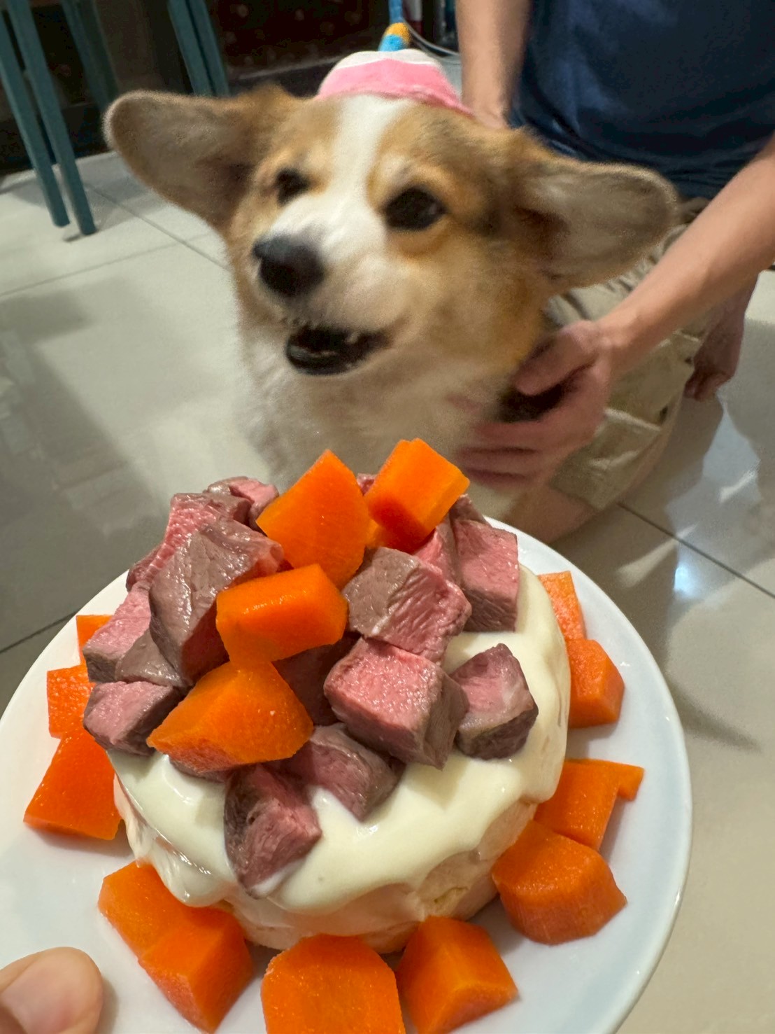 Food critic evaluating presentation. The verdict: 'Will definitely eat.