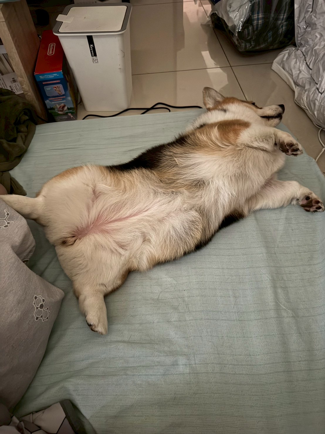 Advanced napping technique demonstrated by certified sleep expert.