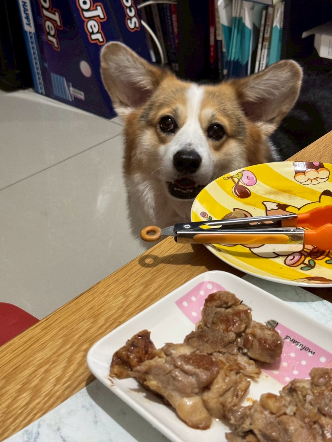 Dinner negotiator preparing compelling arguments for sharing that meat.